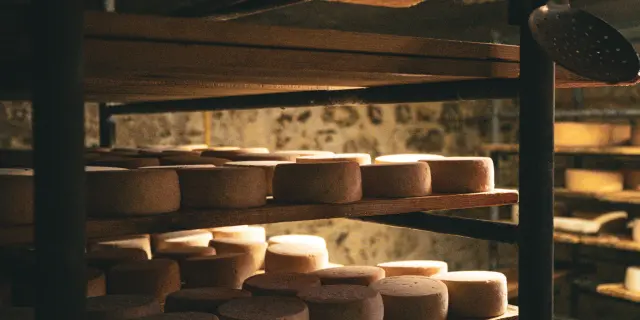 Fromage en maturation sur des étagères dans une cave.