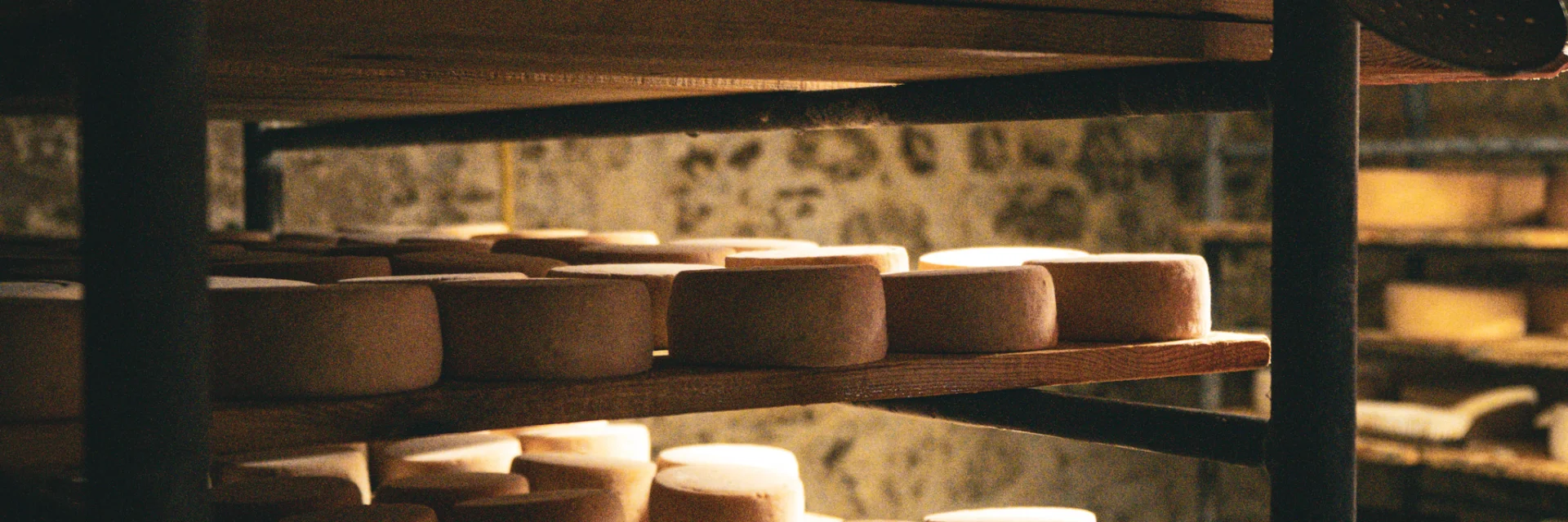 Cheese maturing on shelves in a cellar.