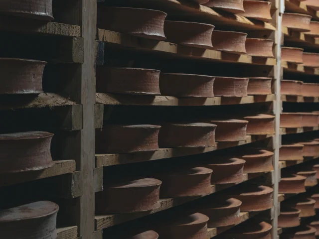 Abondance cheeses are maturing on wooden shelves in a cellar.
