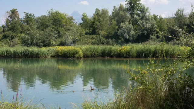 © Nicolas Blandin www.nicolasblandin.com