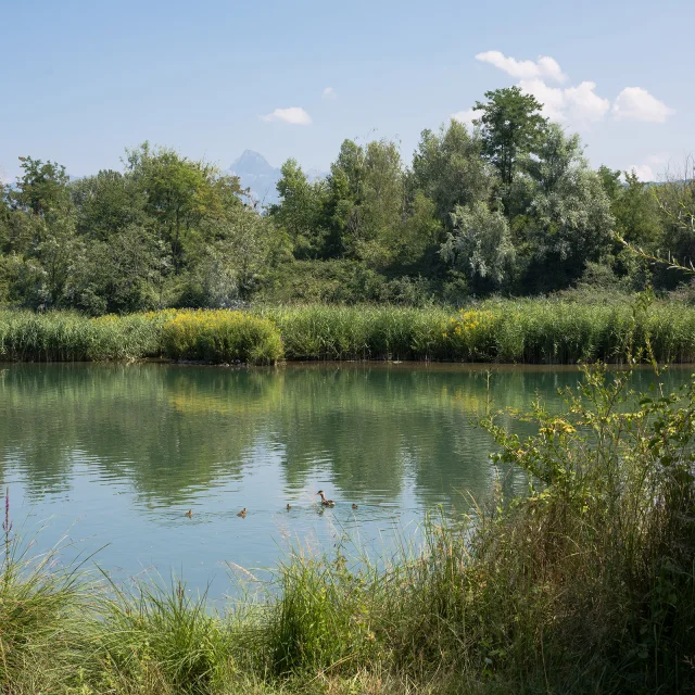 © Nicolas Blandin www.nicolasblandin.com