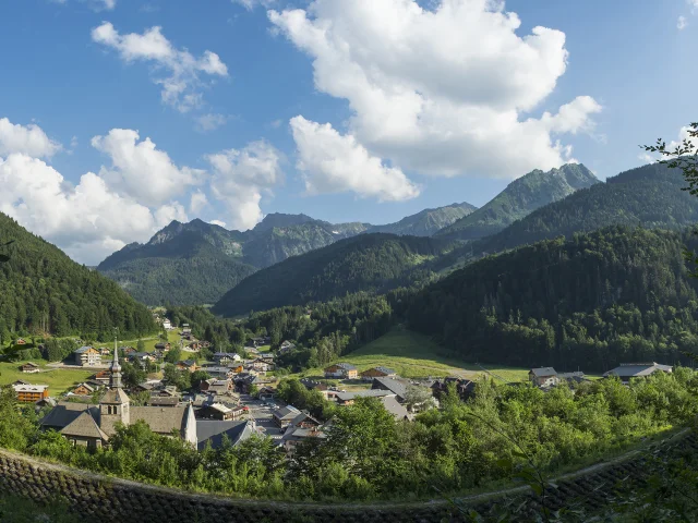 Overvloed zomer 2020