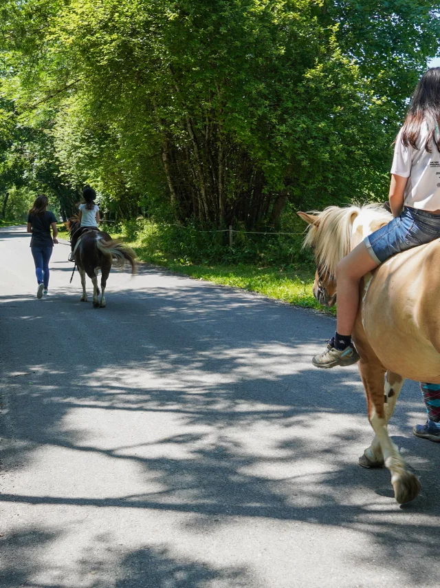 Bernex Equestrian Center