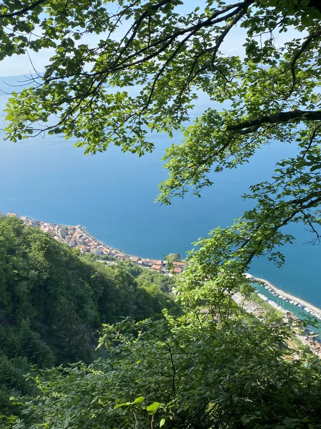 Randonnee Sentier Du Littoral Meillerie