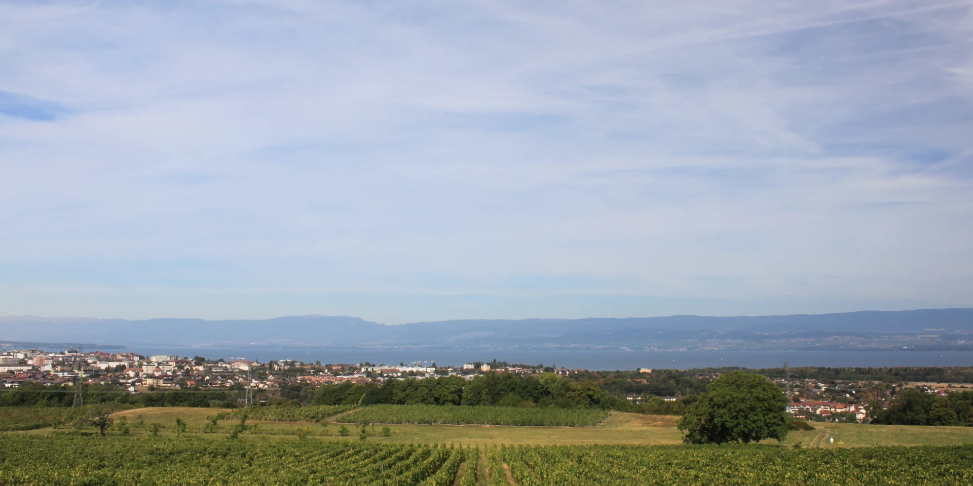 Vignoble Marin 24 08 22 Maxence Pareyt 55