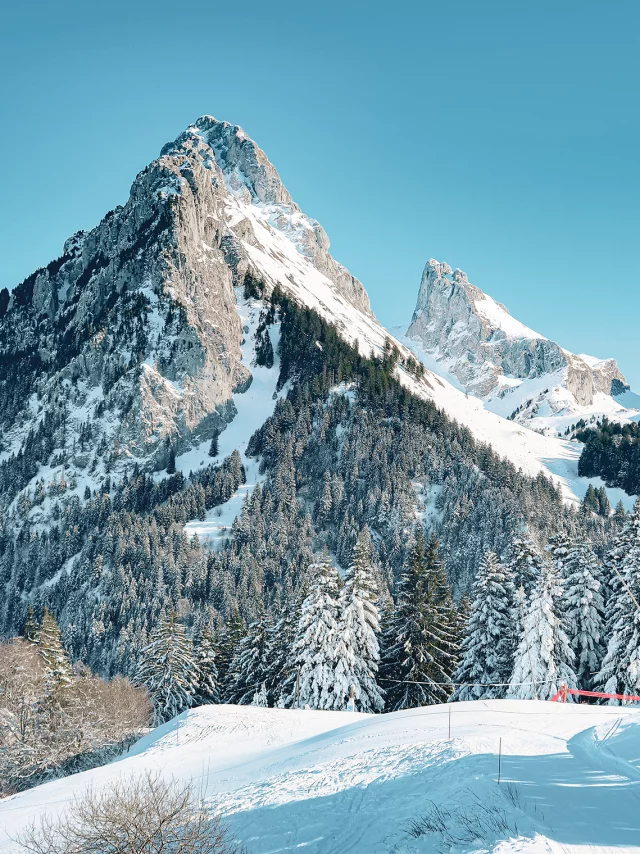 Skiable domain Bernex