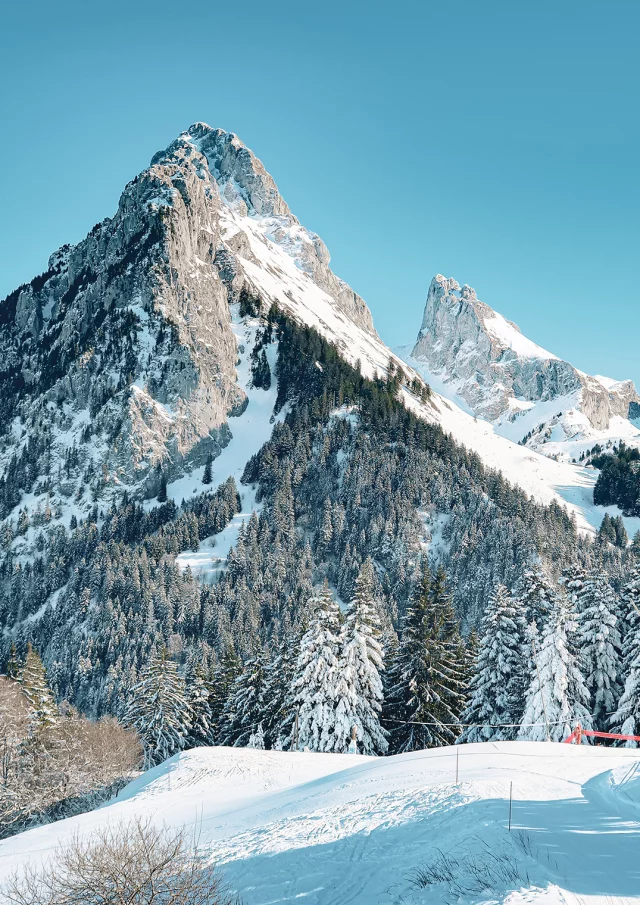 Skiable domain Bernex