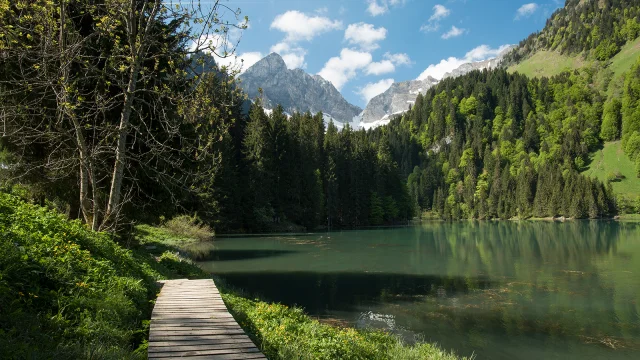 Meer van Plagnes Abondance 18 mei 10