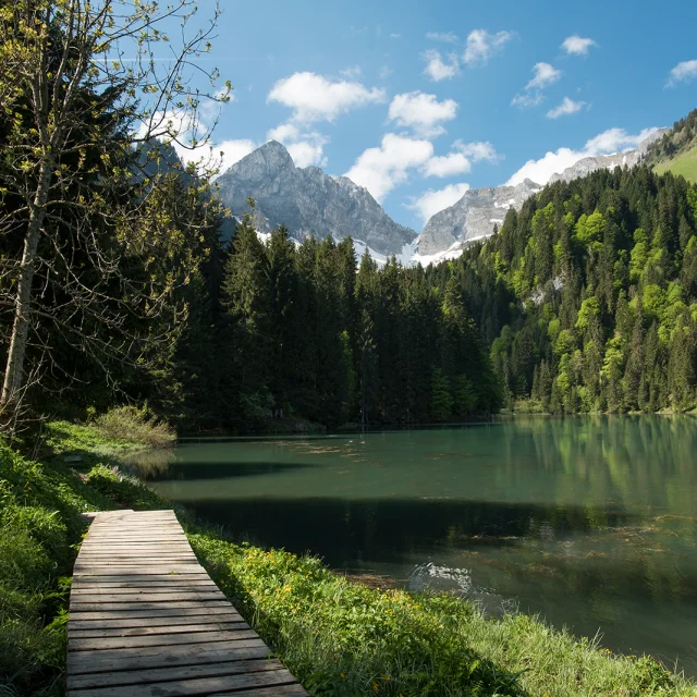 Lac Plagnes Abondance