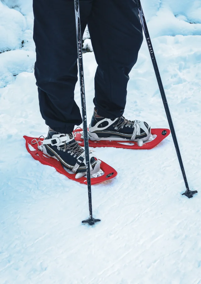 Snowshoeing Abondance