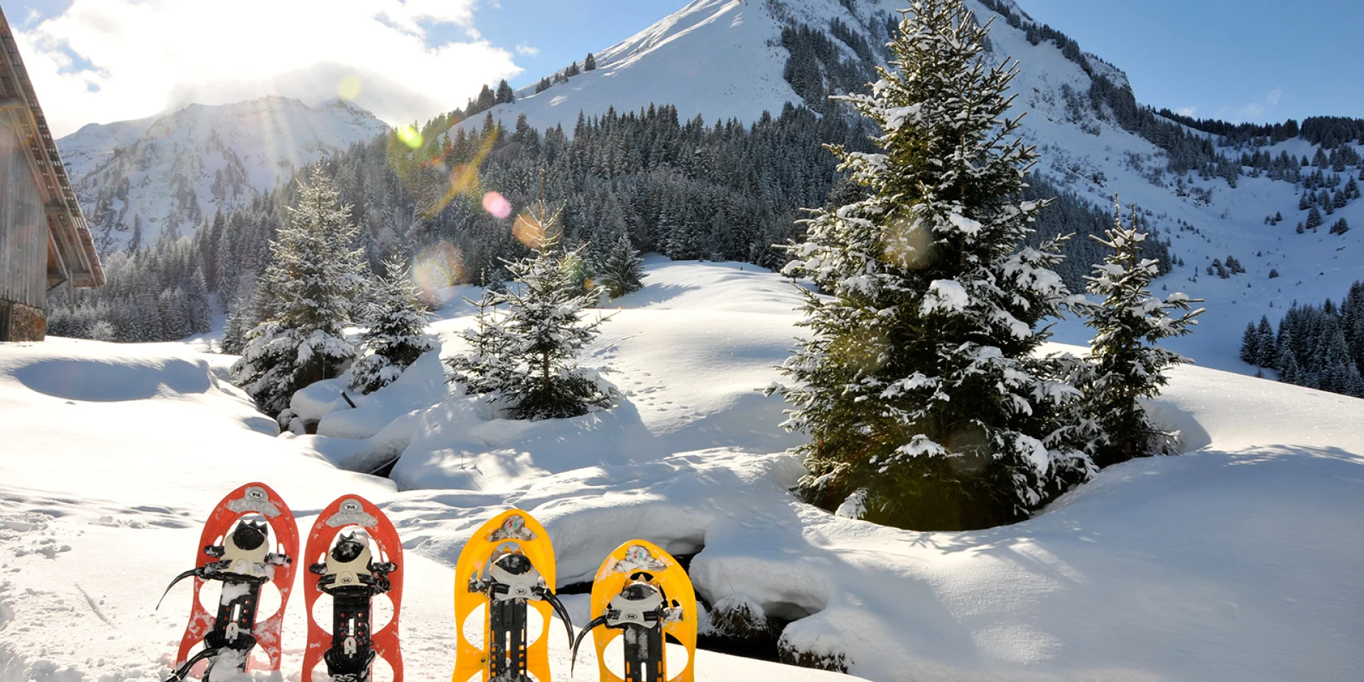 Sneeuwschoenwandelen Abondance