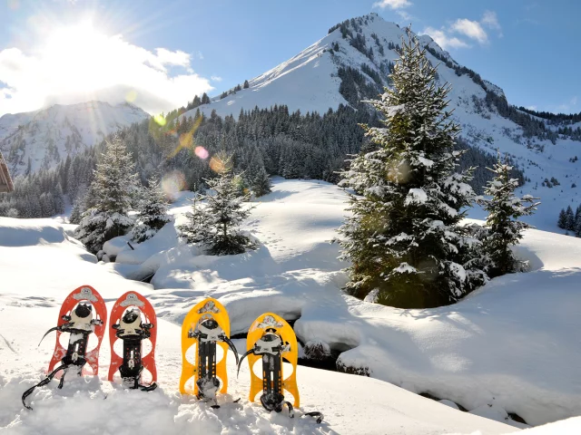 Snowshoeing Abondance