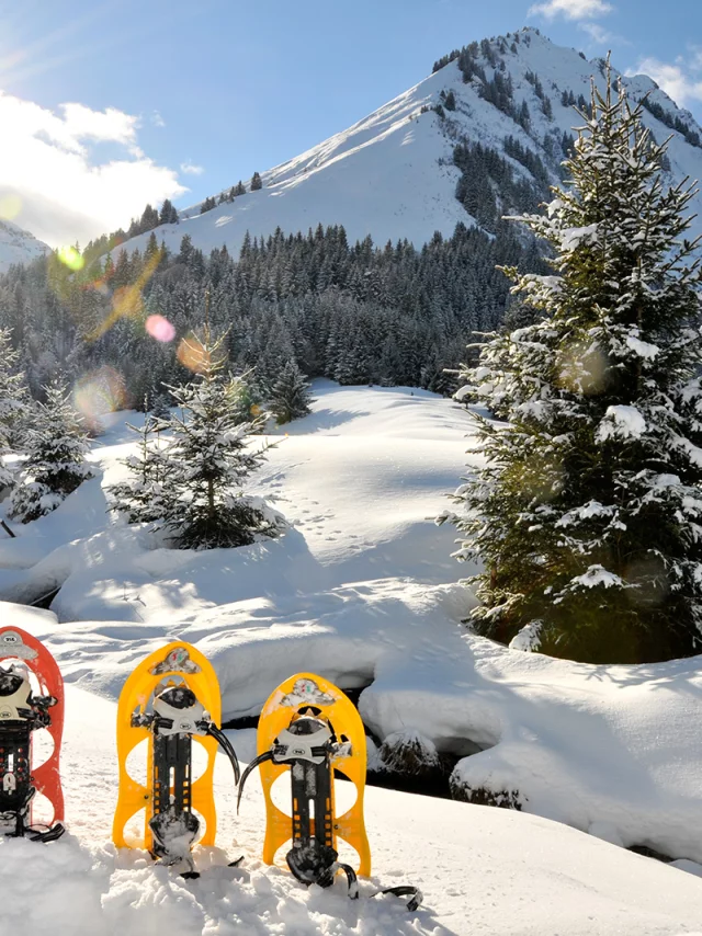 Snowshoeing Abondance