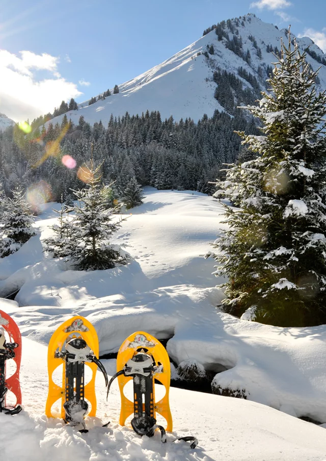 Snowshoeing Abondance