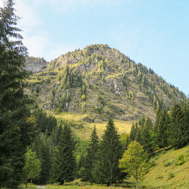 Kasteel van Tavaneuse