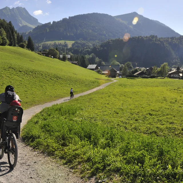 Electric mountain bikes