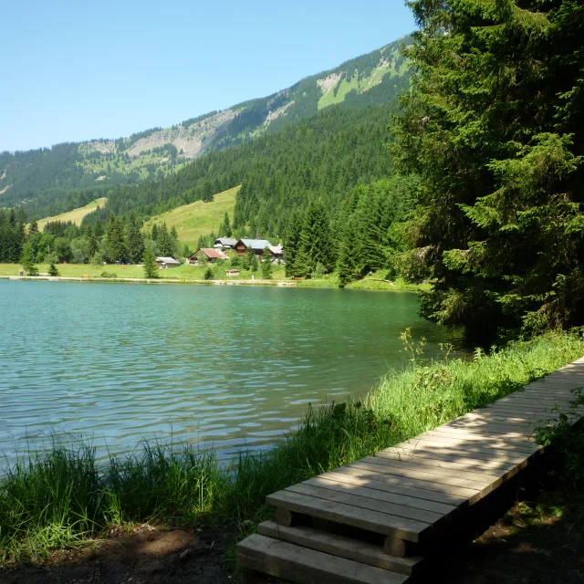 Chemindesbordsdlacdesplagnesabondance Ccpeva