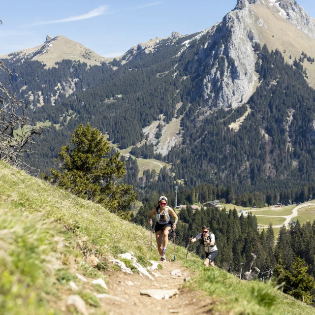 Parcours Mont Baron