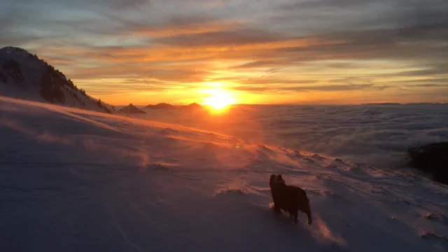 Coucher De Soleil Thollon-les-Mémises