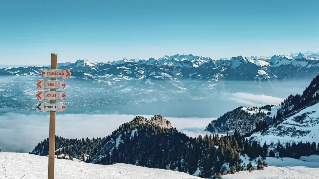 1 Domaineskiable Thollon 31 Janvier 2023 Hiver Mathildepruvot 41