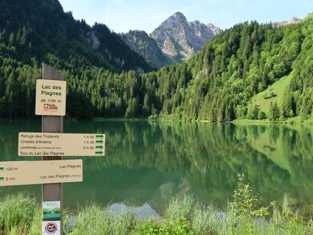 Lac Des Plagnes Juni 2017 05