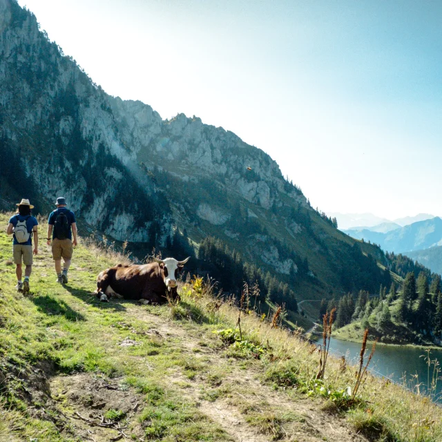Lac D Arvouin Randonnee La Chapelle D Abondance 230824 Marie El Hajal 67 1