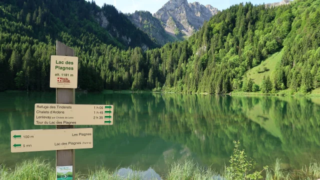 Lac Des Plagnes Juni 2017 05