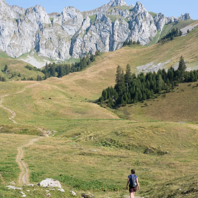 Gr5 Depuis Le Refuge De Bise