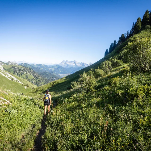 Gr5 Peva Portion2 Fl 19 1