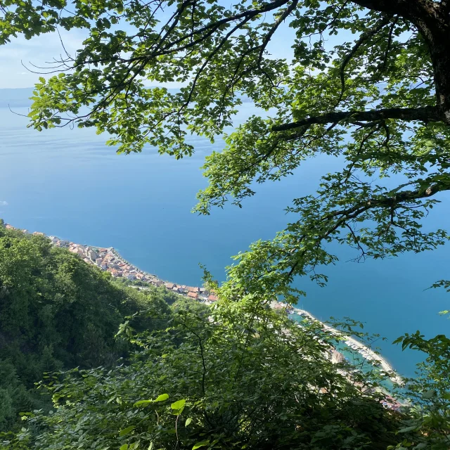 Randonnee Sentier Du Littoral Meillerie 18 05 2022 Lamzouri Sirine 17