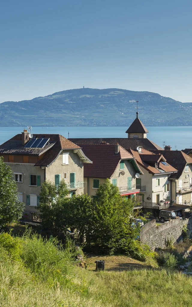 pays d'Evian vallée d'Abondance été 2020