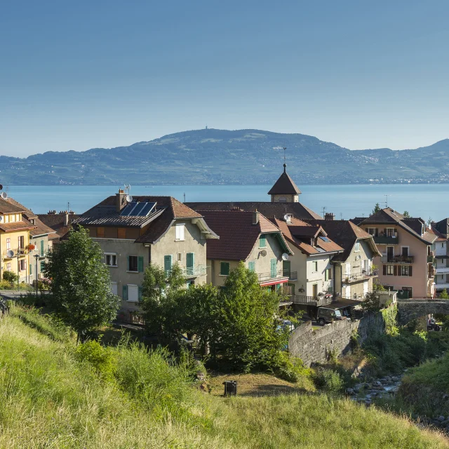 pays d'Evian vallée d'Abondance été 2020