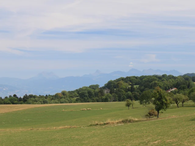 Saint Paul 24 08 22 Maxence Pareyt 19