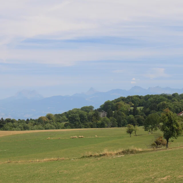 Saint Paul 24 08 22 Maxence Pareyt 19