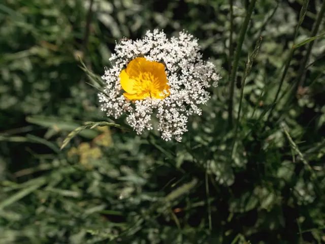 Darbon 140625 Mathilde Duchene Fotograaf 5