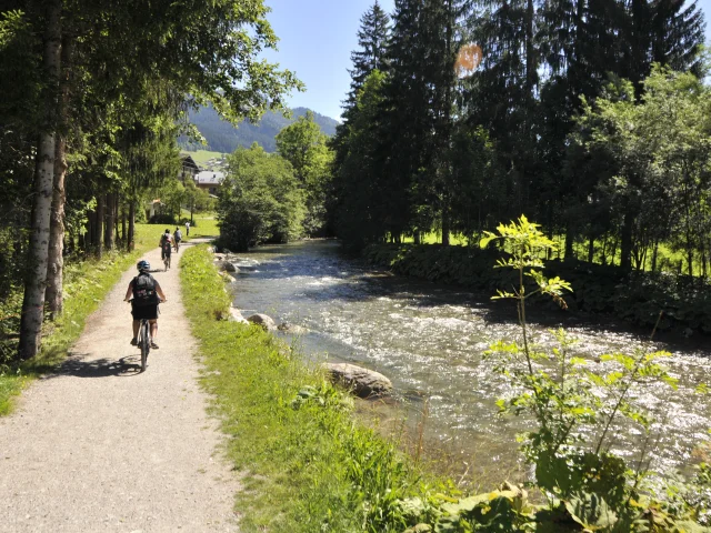 Bords De Dranse Elektrische Mountainbike 2016 026