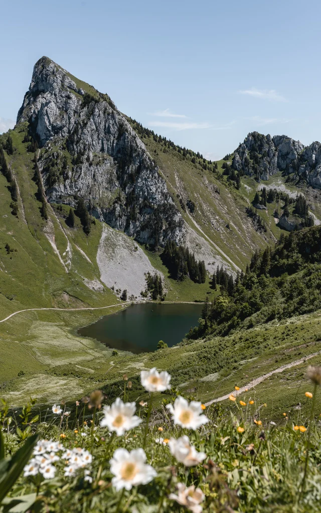 Arvouin 0624 Mathilde Duchene Photographe 2