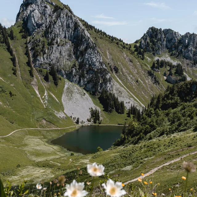 Arvouin 0624 Mathilde Duchene Photographe 2