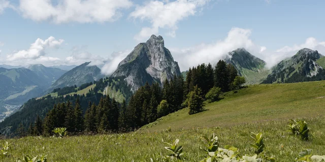 Arvouin 0624 Mathilde Duchene Fotograaf 11