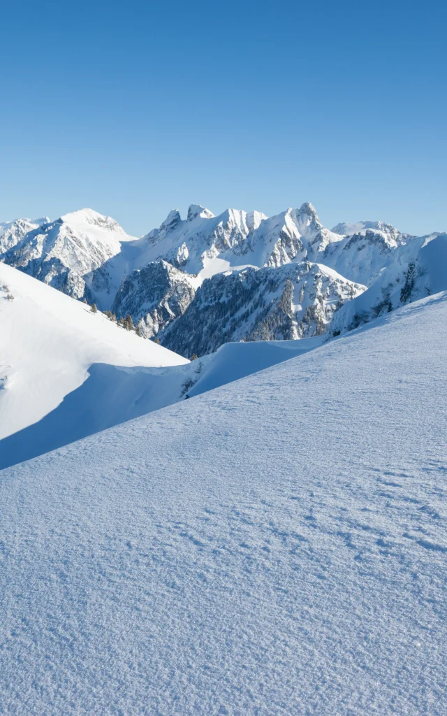 Photographe - ingénieur agronom