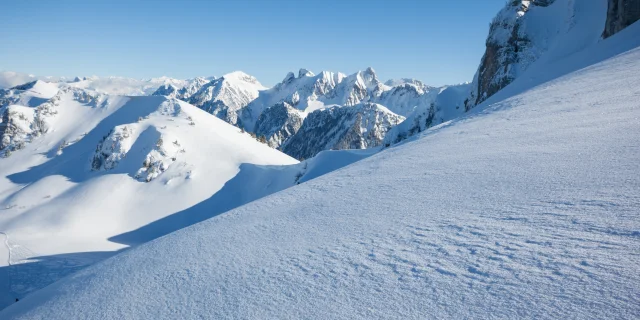 Photographe - ingénieur agronom