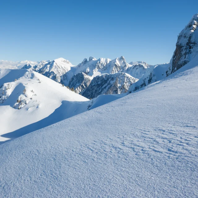 Fotograaf - landbouwingenieur