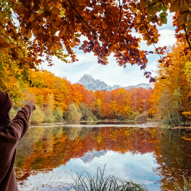 Lac Noir St Paul Automne 161024 Marie El Hajal 47 27 1