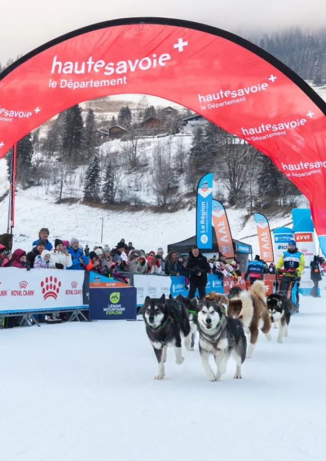 Presse Lgo25 11012025 Maelys Pommier 11 Sur 25 1