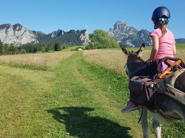 Fermes Des Genti Anes Thollon 1 1