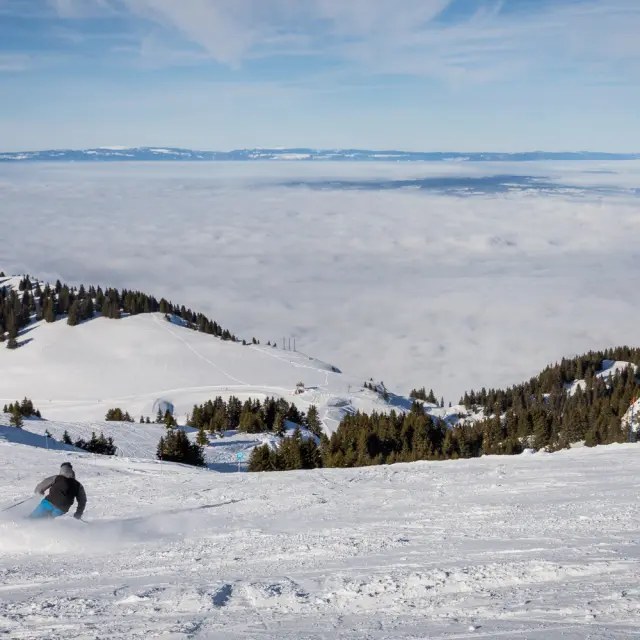 Thollon Les Memises Fevrier2019 Vanessa Andrieux 3274