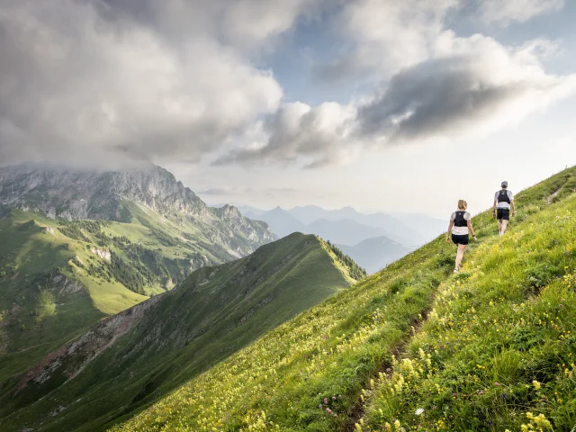 Trail Thollon Les Memises Pic De Boree Florian Legrand 2024 21 1