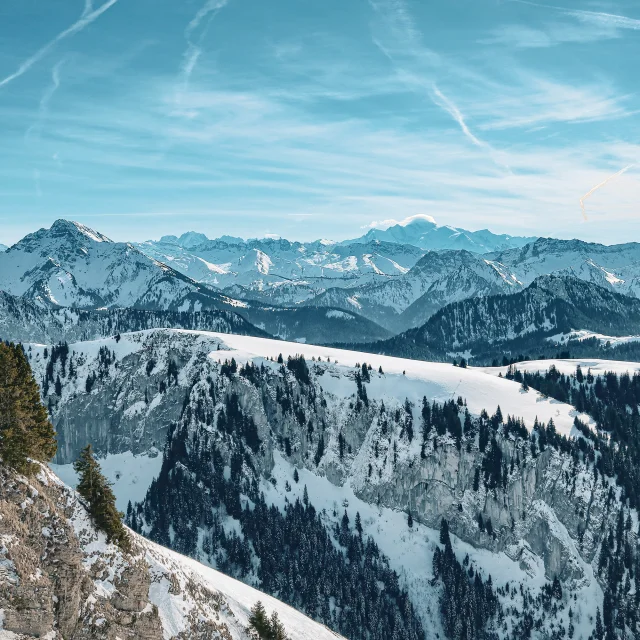 Landschap Bernex 31 januari 2023 Winter Mathildepruvot 5 1