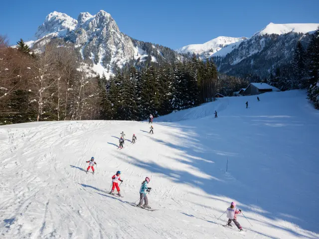 Photographe - ingénieur agronom