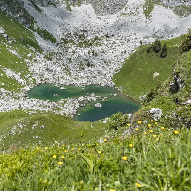 Darbon 140625 Mathilde Duchene 1